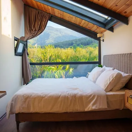 Velora Deluxe Villa